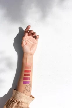 Ere Perez Carrot 9 Ere Perez Carrot -Cela pourrait être cosmétique. ere perez carrot blush creme brillant a levres 3