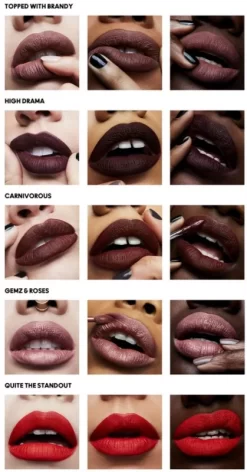 MAC Cosmetics Retro Matte Liquid Lipcolour -Cela pourrait être cosmétique. mac cosmetics retro matte liquid lipcolour rouge a levres liquide mat 5