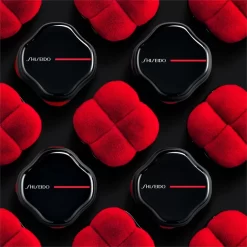 Shiseido HANATSUBAKI HAKE Polishing Face Brush -Cela pourrait être cosmétique. shiseido hanatsubaki hake polishing face brush pinceau produits liquides et poudres 2